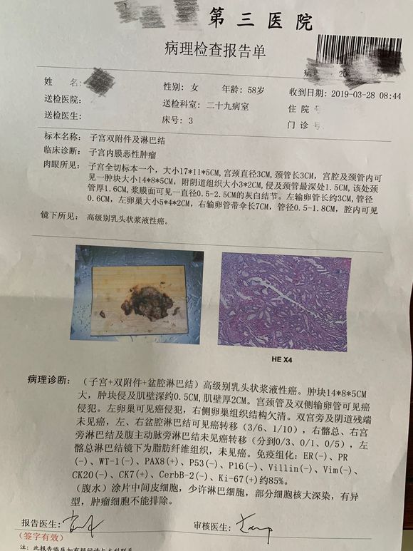 我妈妈的病理结果报告,3期c1